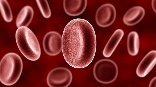Cardiologistas adotam critérios mais rígidos para colesterol ruim, o LDL